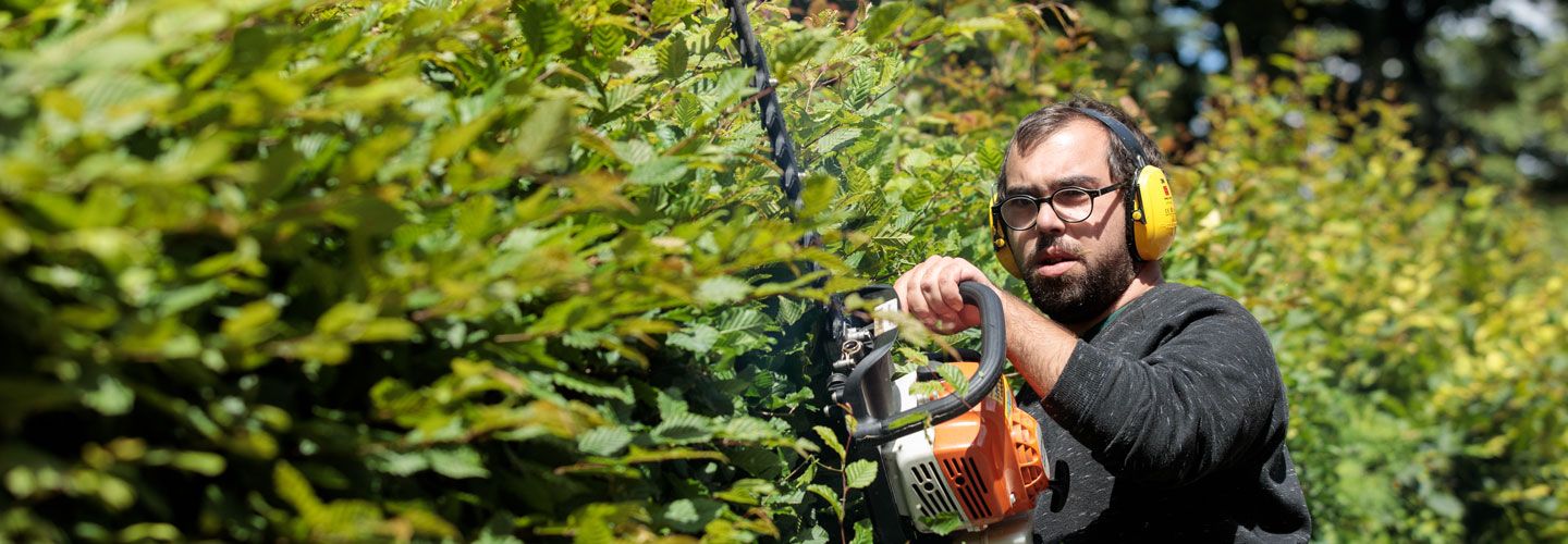 Un homme avec une tronçonneuse coupe un buisson