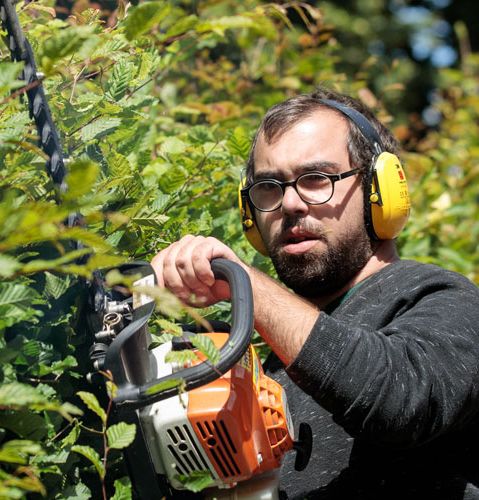 Un homme avec une tronçonneuse coupe un buisson