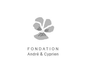 Logo Stiftung André und Cyprien