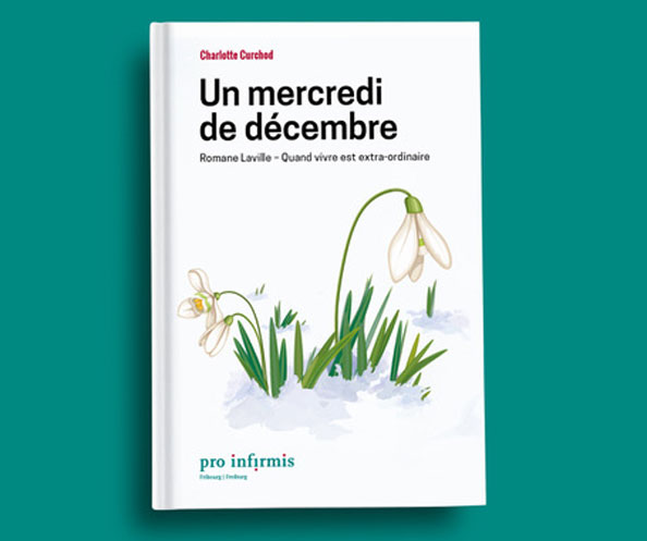 [Translate to Französisch:] Buch "un mercredi de décembre"